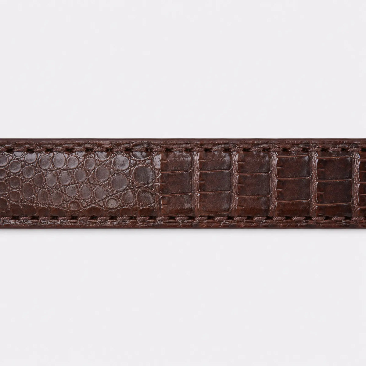 Détail de la matière crocodile coloris Café — Le Monde de la Ceinture